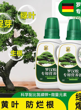 德国罗汉松专用肥营养液有机肥料花叶枯病黄叶盆景养护面肥迎客松