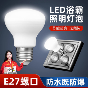 浴霸照明灯泡中间防水防爆led光源卫生间浴室取暖灯E27螺口小灯泡