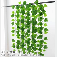 5 штук 48-листного прорезиненного плюща