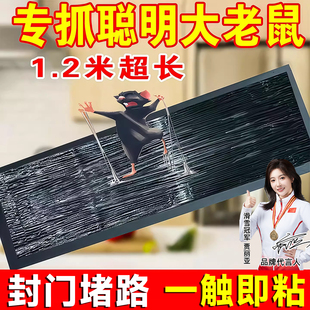 超强力粘鼠板大老鼠贴捕鼠老鼠神器克星透明隐形大号家用灭黏粘鼠
