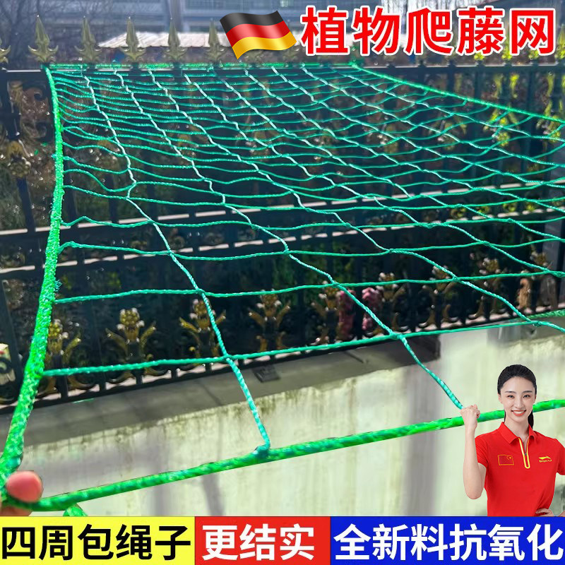 植物爬藤网攀援网园艺搭架网瓜果丝瓜苦瓜月季藤蔓花卉攀爬种植网