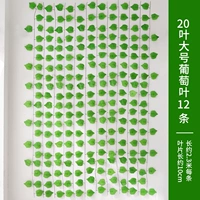 20 листьев большие виноградные листья 12