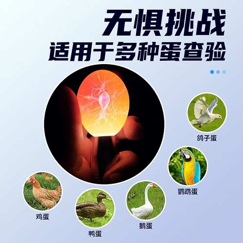 Пожарные из яичных устройств, вспыхивание вылупления яиц, выворот, специальная яичная лампа, яичная лампа, проверка яиц, зарядка светодиода холодного света