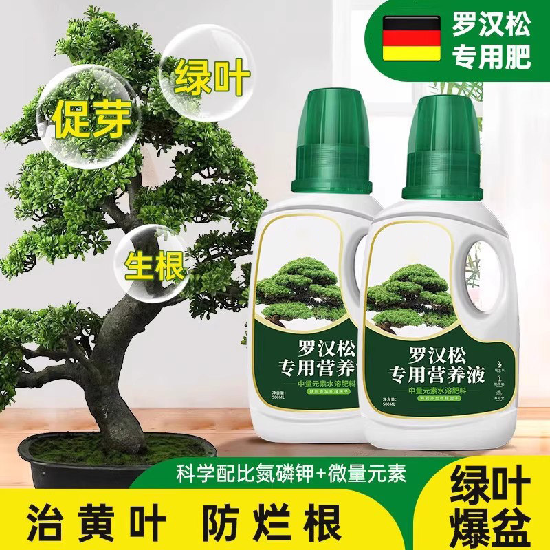 德国罗汉松专用肥营养液有机肥料花叶枯病黄叶盆景养护面肥迎客松