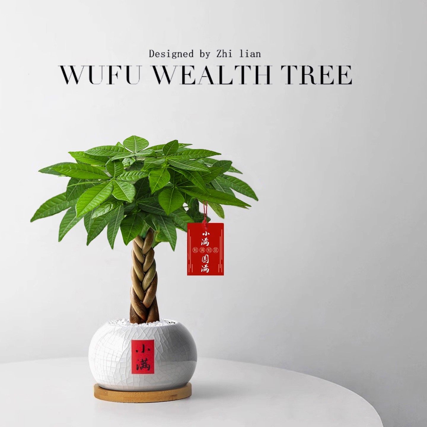 发财树小盆栽四季植物室内客厅中式禅意招财树盆景办公室桌面绿植