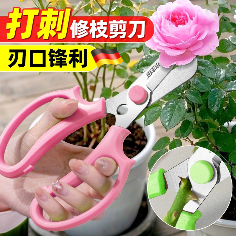 花艺剪刀修枝鲜花打刺园艺剪花剪花卉花店专用专业摘水果神器果树