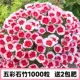 Красочные капсулы Dianthus 1000 + 2 мешка удобрений в подарок (при покупке двух — один в подарок)
