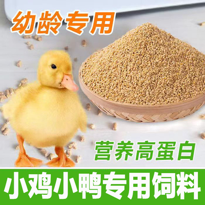 小鸭子饲料喂专用宠物鸟黄