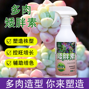 多肉矮胖素专用防控徒长增色助壮剂促生根矮壮素免稀释肥料营养液