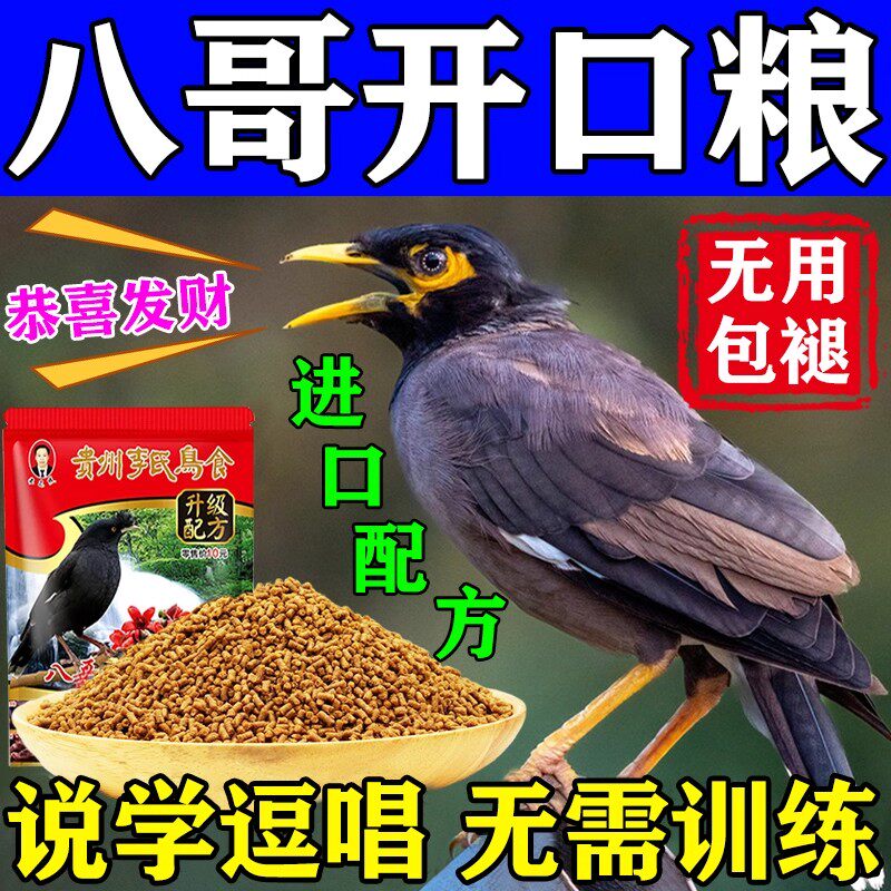 八哥专用饲料速学说话亮羽增膘抗鸟食鹩哥鹦鹉画眉早开口型营养粮