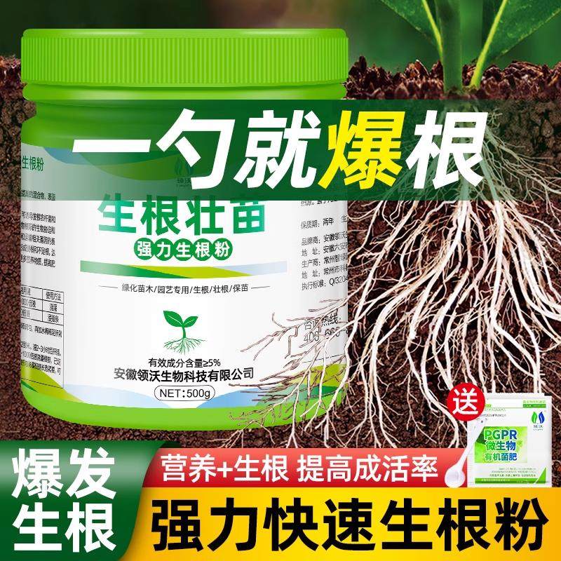 生根粉植物通用树木壮苗生根剂扦插移栽绿植用强力速效药水营养液