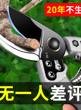 日本原装剪刀修枝剪园艺剪刀sk5修花修树枝专用剪刀果树粗枝剪子