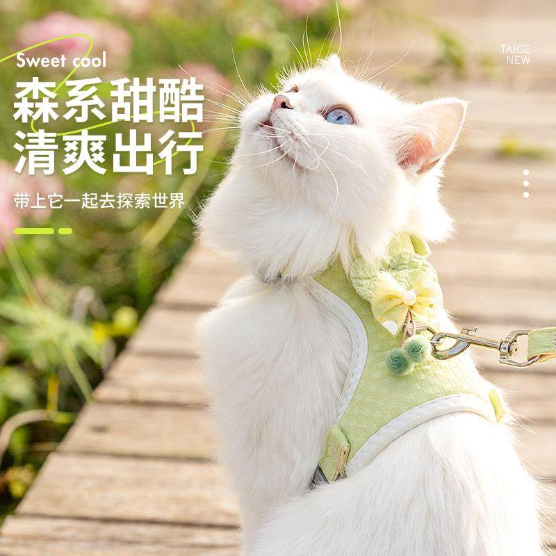 猫咪牵引绳布偶猫外出防挣脱可调节高颜值猫绳可爱防勒脖网红猫链