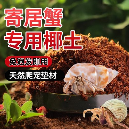 寄居蟹专用椰土免泡发湿椰土养殖