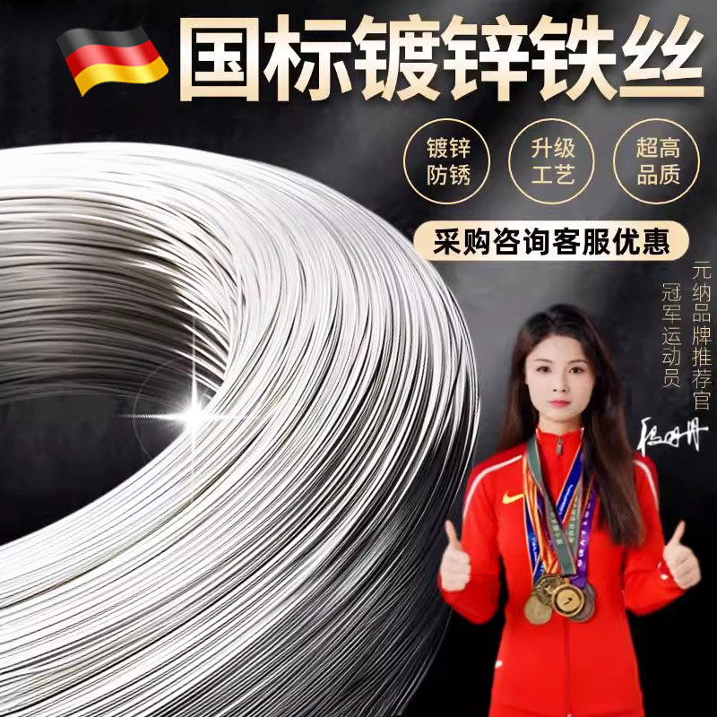 防锈镀锌铁丝细热浸镀锌电镀不生锈工地农业葡萄架盆景工程铁丝钢,鲜花速递/花卉仿真/绿植园艺,花艺材料,淘宝优惠券,粉丝福利购,淘宝优惠卷