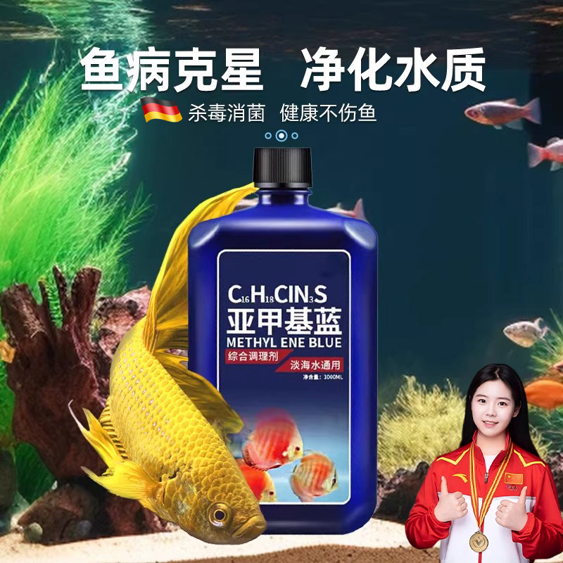 亚甲基蓝水族鱼专用鱼缸消毒杀菌药烂身烂尾水霉病专治药试剂溶液