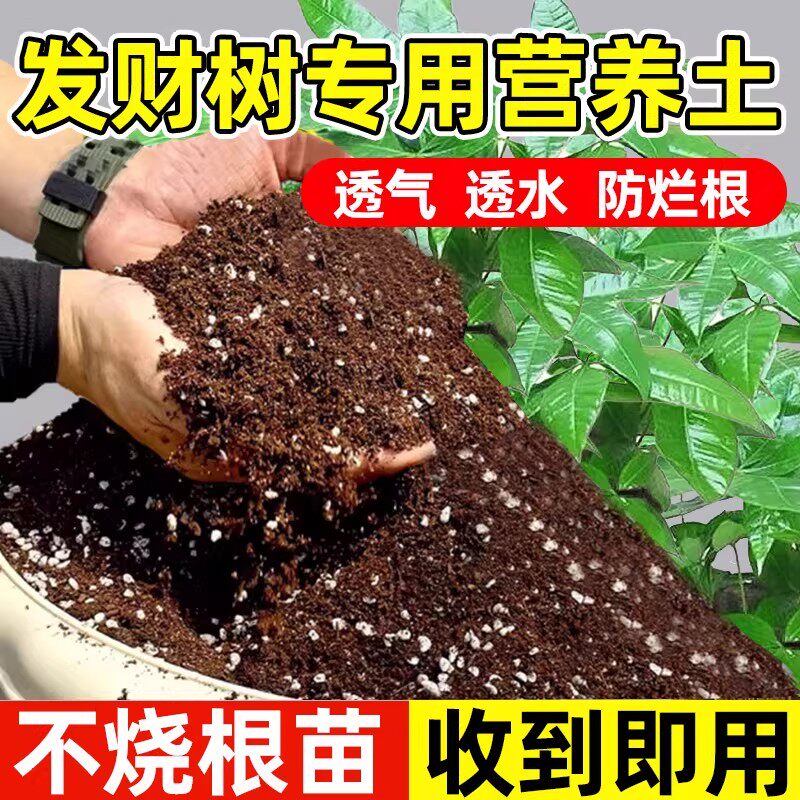 发财树专用土营养土花土盆栽土壤肥料专用肥泥土种植土基质育苗土