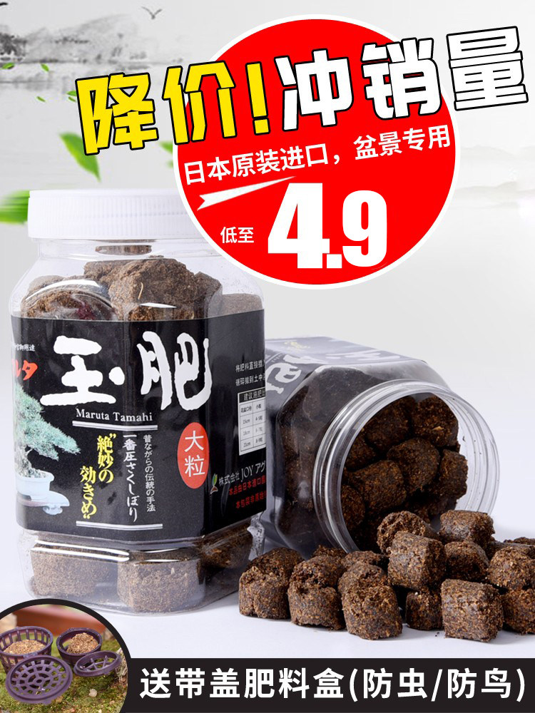 玉肥盆景专用日本原装进口花肥料松柏有机缓释肥绿植盆栽颗粒肥料