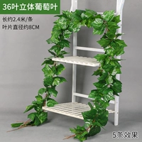 36 5 листьев листья листьев виноградных листьев тела