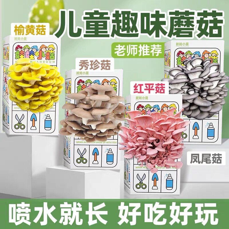 蘑菇种植包儿童种植蘑菇小盆栽学校桌面趣味神奇植物家庭菌菇菌包