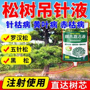 松树专用营养液吊针罗汉松黑松五针松油松专用肥针枯病赤枯病黄叶