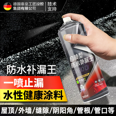 德国屋顶防水补漏喷剂喷雾材料堵漏王聚氨酯外墙楼房顶自喷涂料胶