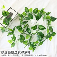 1 приклеенный лист потоса на проволочной лозе