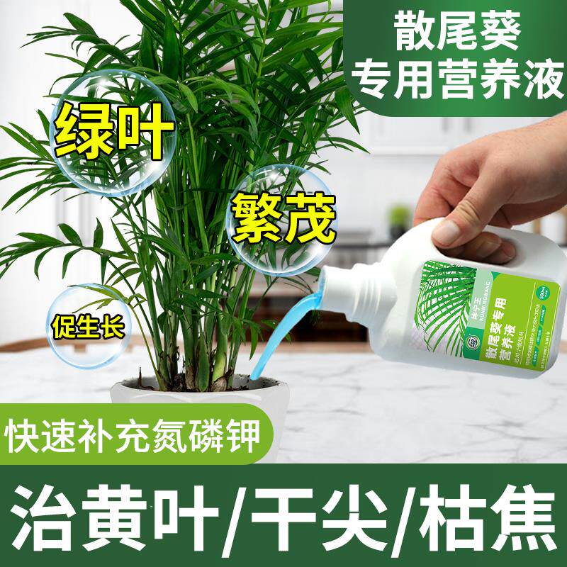 散尾葵专用肥料营养液叶子发黄黑斑病专用肥料尾葵专用水溶肥料