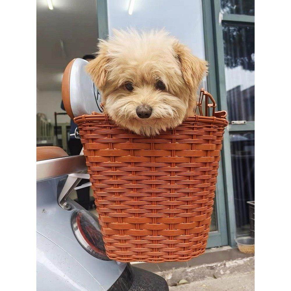 电动车后置车筐电摩车后尾挂篮加大书包车篓后用靠背菜篮子后尾箱