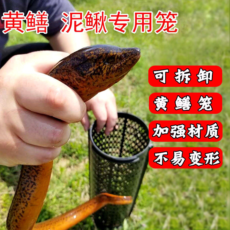 黄鳝笼鳝鱼笼塑料自动捕鳝笼子鱼笼倒须泥鳅笼诱饵笼自制捕鱼虾笼