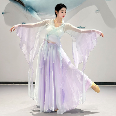 新款古典舞飘逸舞蹈服紫蝶渐变纱衣古风大摆裙中国舞演出服练功服