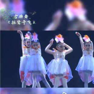 儿童现代舞朱鹮舞蹈服舞演出服古典舞芭蕾飘逸纱裙连衣裙振鹭于飞