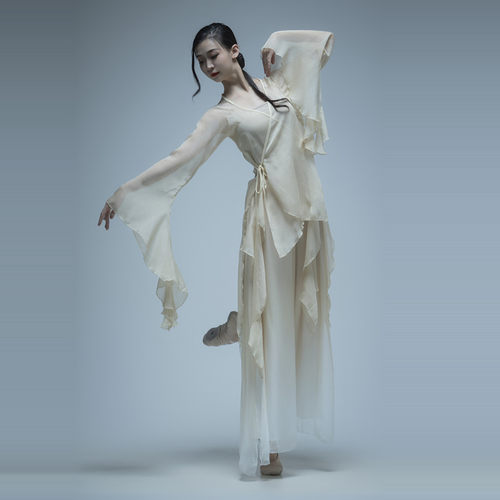 古典舞纱衣中国舞蹈服
