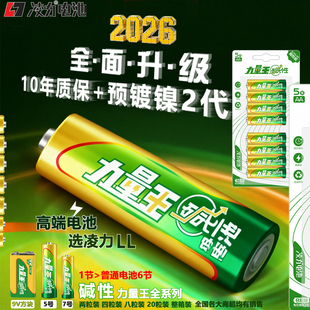 凌力 力量王碱性电池 智能门锁玩具鼠标键盘体重秤石英钟遥控器燃气表 通用型 扩容电池5号7号干电池