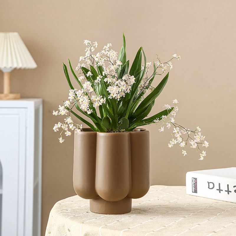 陶瓷花盆几何形创意形状花瓣形新品无孔可水培蝴蝶兰花卉绿植多肉