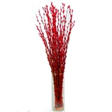 Симуляция цветочного свинга гостиная на рабочем столе комната украшения в весеннем фестивале Новый год