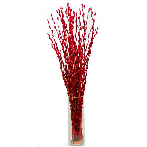 Симуляция цветочного свинга гостиная на рабочем столе комната украшения в весеннем фестивале Новый год