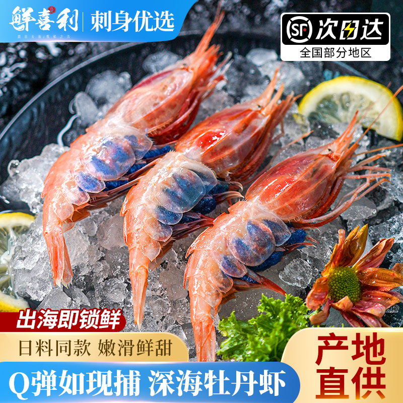 【2斤新捕船供】特大12-14cm