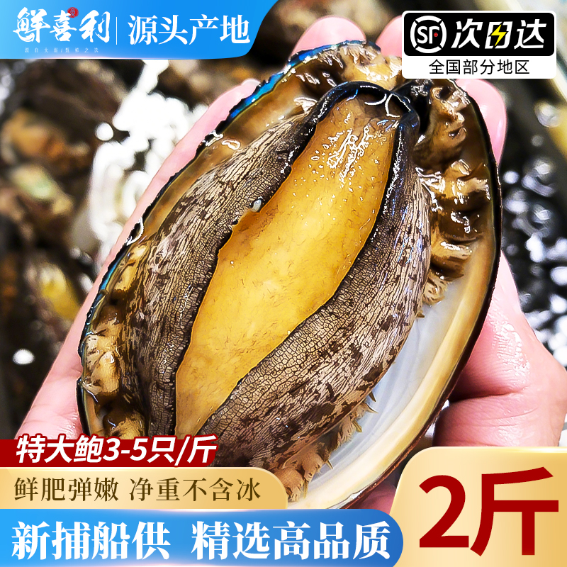 【2斤特大3-5只/斤】鲍鱼鲜活
