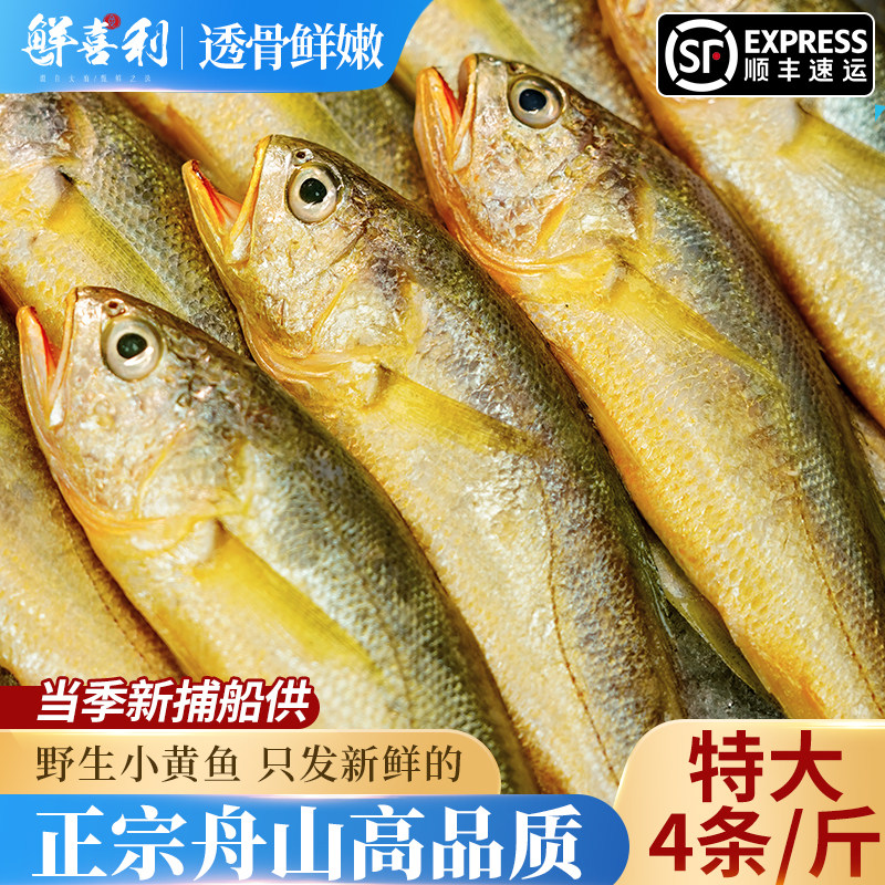 真正舟山小黄鱼新鲜冷冻深海海鲜水产黄花鱼生鲜冰鲜海鱼商用烧烤