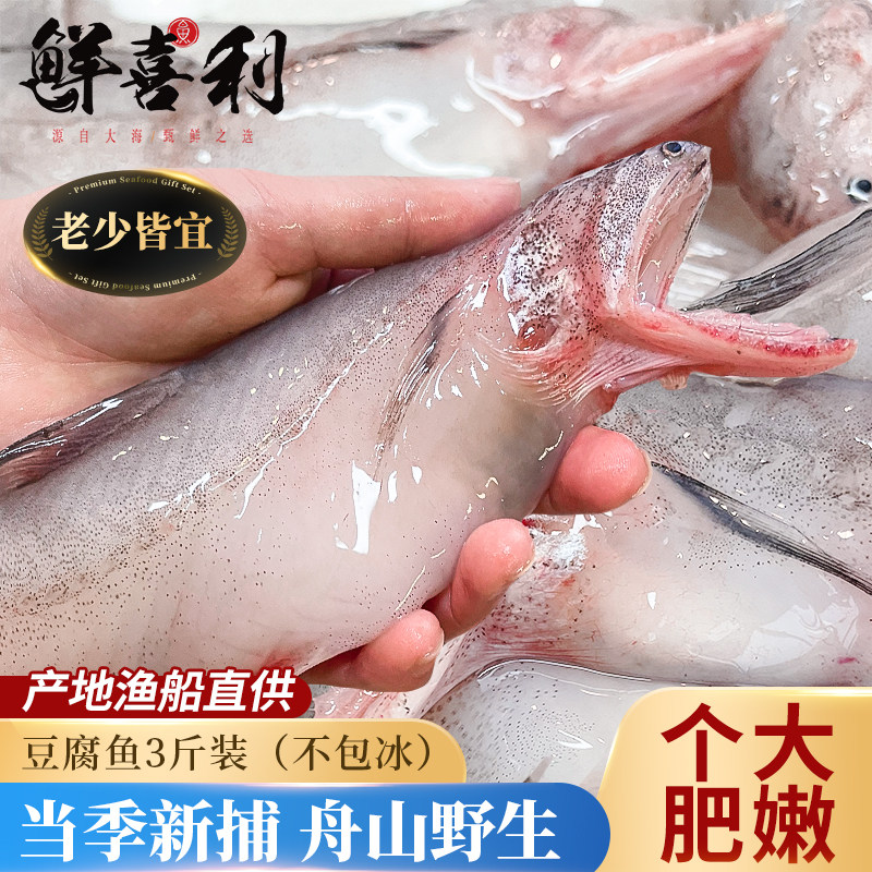 舟山特产龙头鱼新鲜豆腐鱼海鲜活冷冻水产九肚鱼生鲜水潺【3斤】