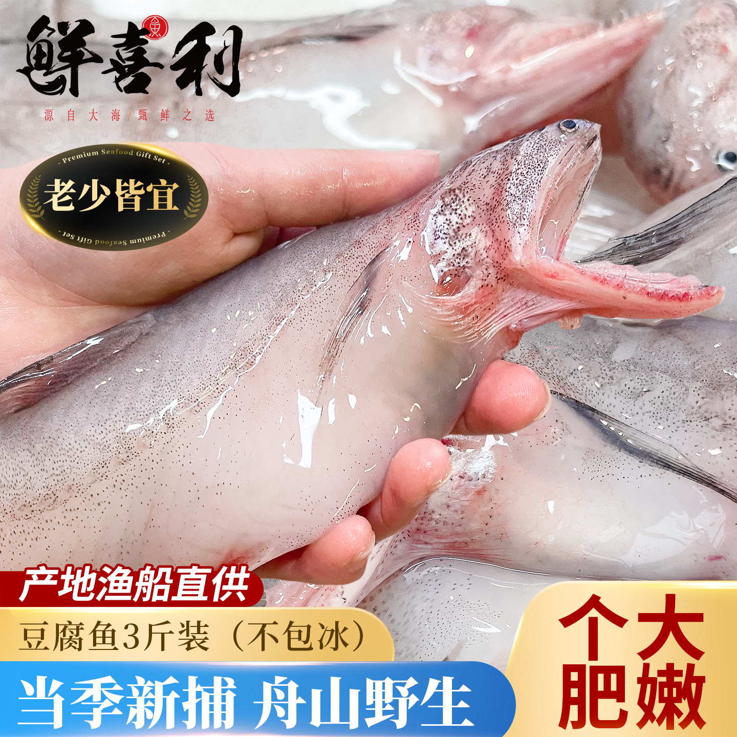 【大号3斤新捕船供】舟山豆腐鱼