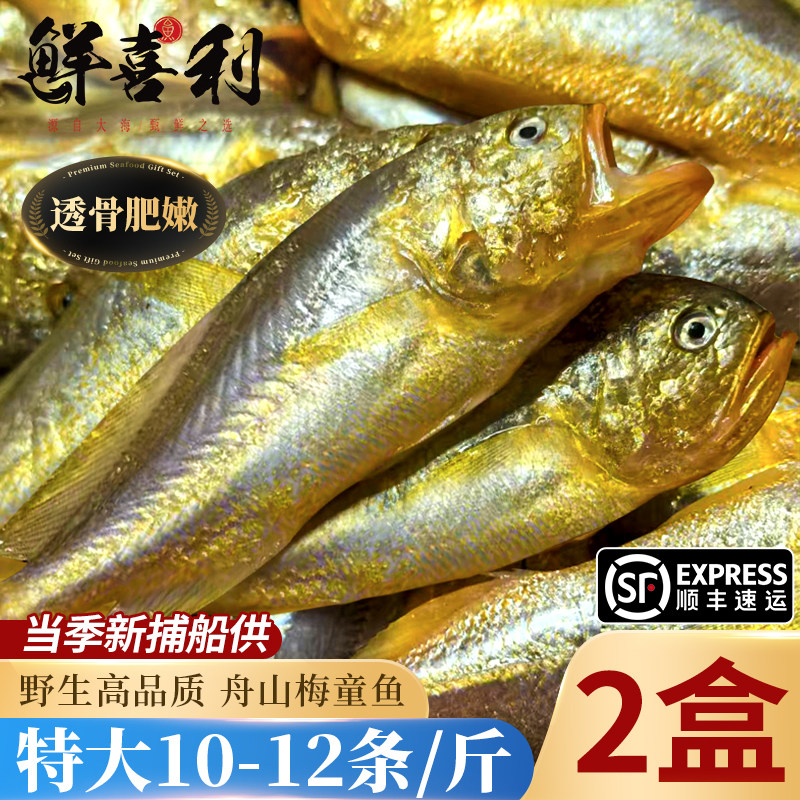 【不含冰衣】舟山新鲜梅童鱼特大梅子鱼大头宝东海捕捞冷冻肉鲜