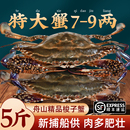 梭子蟹特大野生舟山大螃蟹新鲜冷冻肉蟹海鲜水产飞蟹白蟹公蟹顺丰