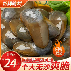 泥螺即食罐装黄泥螺鲜活特大醉泥螺生腌舟山特产宁波海鲜海螺无沙