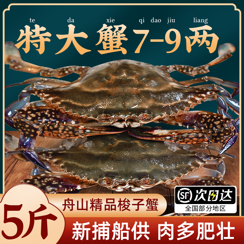 【5斤特大7-9两/只】新捕梭子蟹