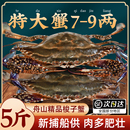梭子蟹特大野生舟山大螃蟹新鲜冷冻肉蟹海鲜水产飞蟹白蟹公蟹顺丰
