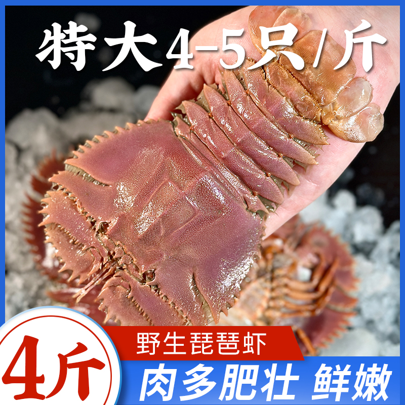 大号新鲜琵琶虾清蒸美味4-5只/斤