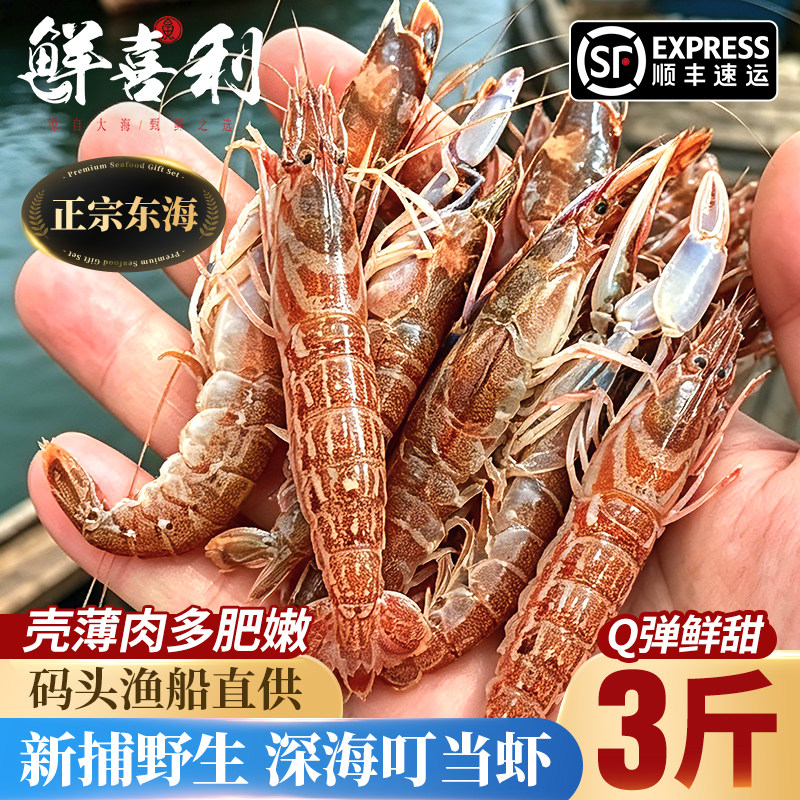 台州叮当虾鲜活冷冻东海新鲜嘎嘣夹板嘎巴倒爬大花腰拉水明鼓狗虾