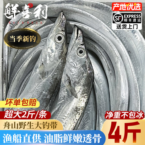 【4斤当季新钓】舟山小眼带鱼